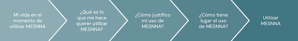 El texto en español sobre fondo azul dice: "Mi vida en el momento de utilizar MESMNA", "¿Qué es lo que me hace querer utilizar MESMNA?" "¿Cómo justifica mi uso de MESMNA?" "¿Cómo tiene lugar el uso de MESMNA?" "Utilizar MESMNA.